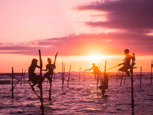 Beauty of Sri Lanka – Nature & Wildlife Explorer